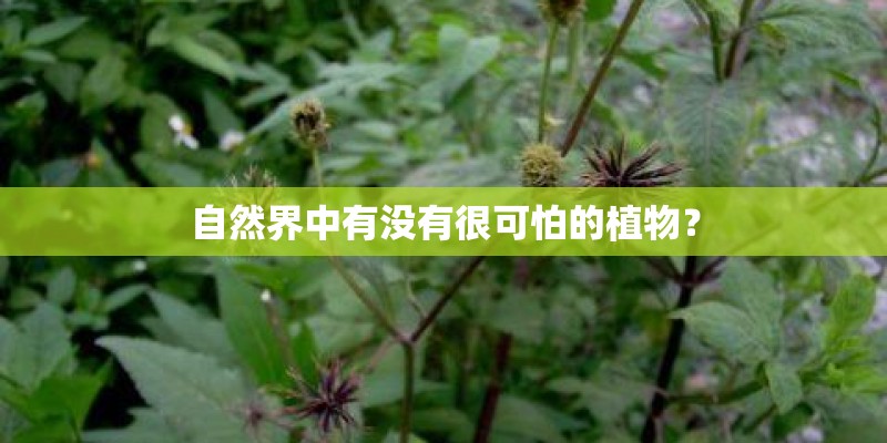 自然界中有没有很可怕的植物？