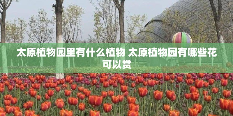 太原植物园里有什么植物 太原植物园有哪些花可以赏