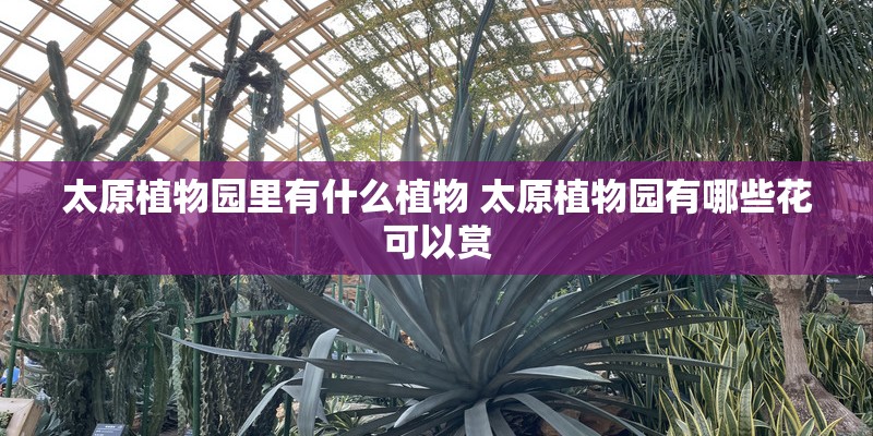 太原植物园里有什么植物 太原植物园有哪些花可以赏