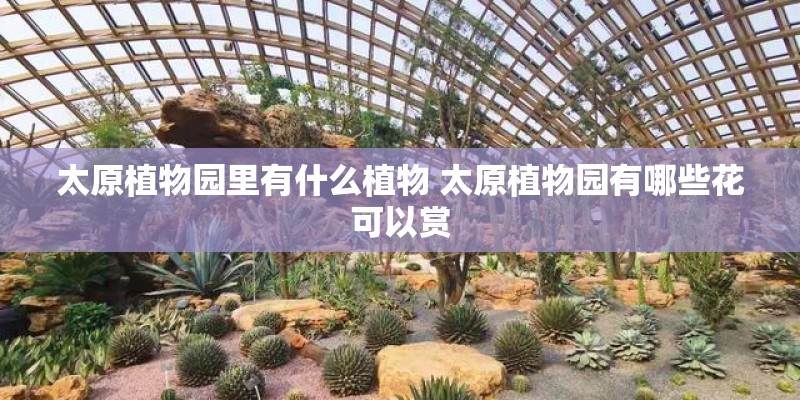 太原植物园里有什么植物 太原植物园有哪些花可以赏