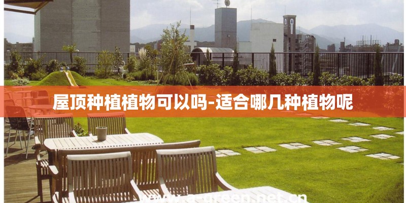 屋顶种植植物可以吗-适合哪几种植物呢