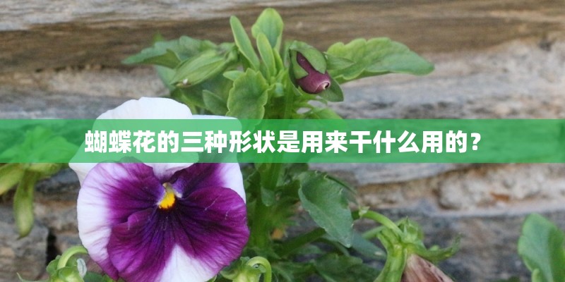 蝴蝶花的三种形状是用来干什么用的？