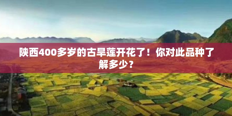 陕西400多岁的古旱莲开花了！你对此品种了解多少？