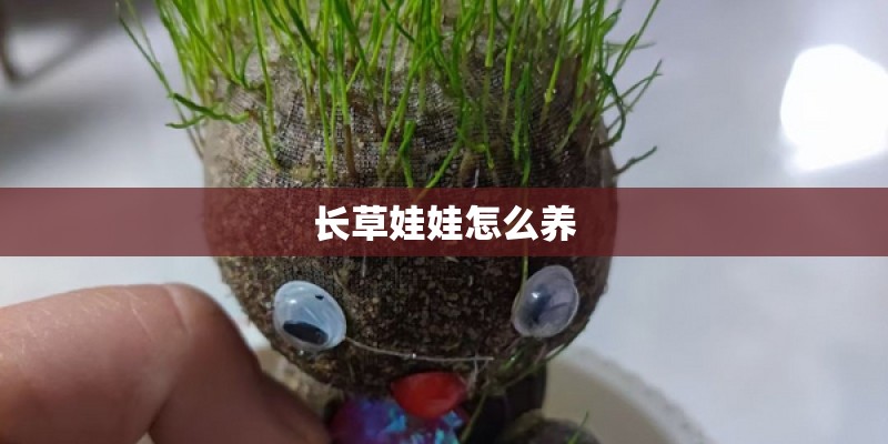 长草娃娃怎么养