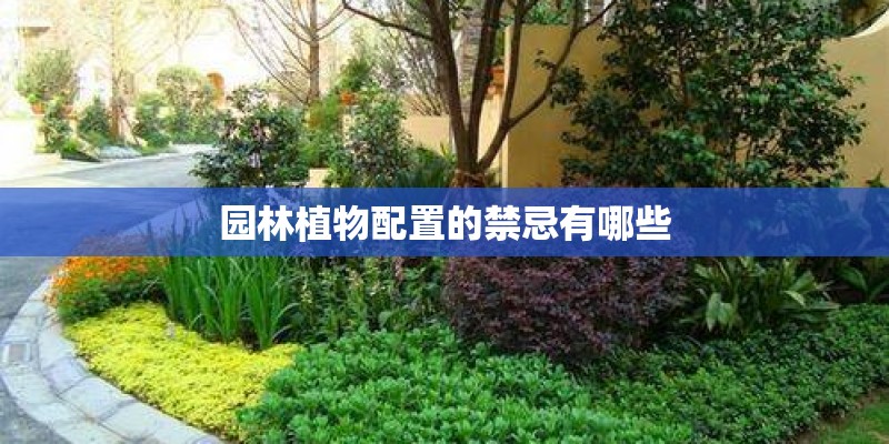 大柠檬的品种有哪些