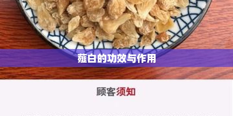 薤白的功效与作用 薤白的功效与作用