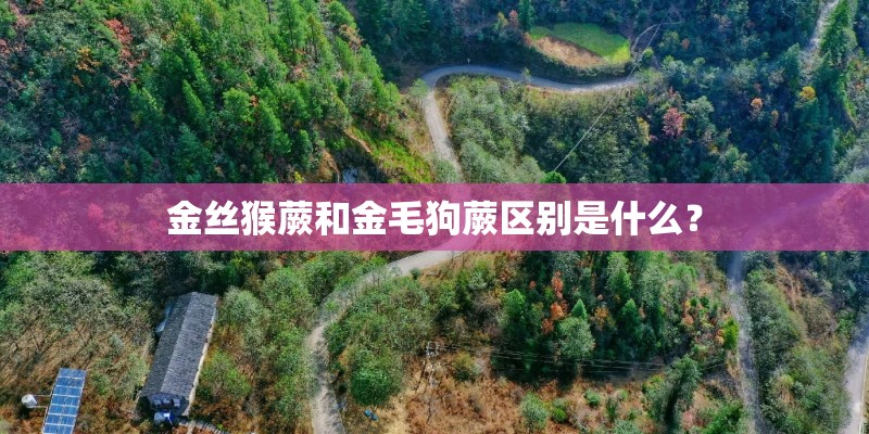 金丝猴蕨和金毛狗蕨区别是什么？