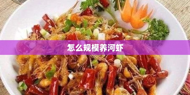 怎么规模养河虾