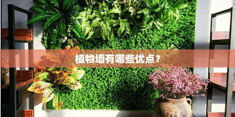 植物墙有哪些优点? 植物墙有哪些优点?