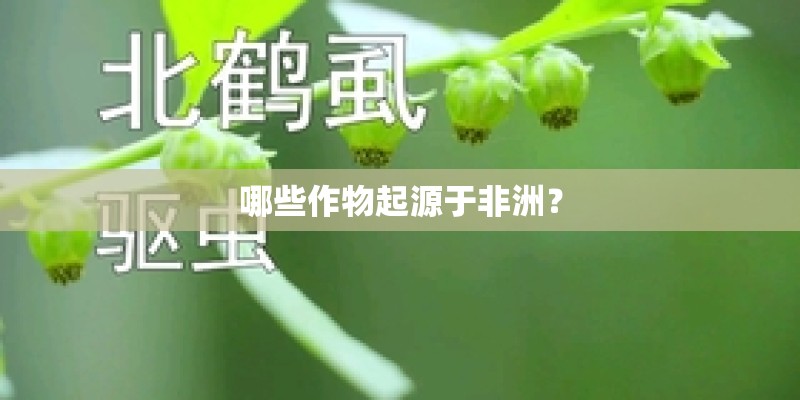 哪些作物起源于非洲？