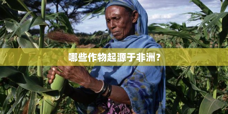 栽花需要些什么工具