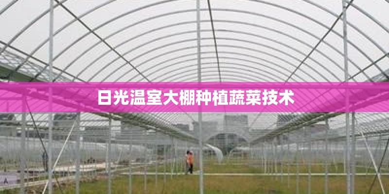 日光温室大棚种植蔬菜技术