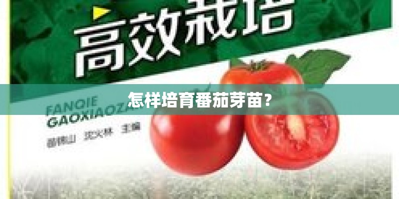 怎样培育番茄芽苗？