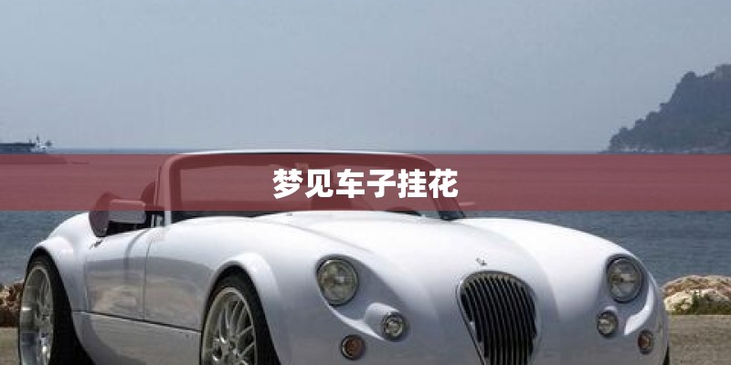 梦见车子挂花