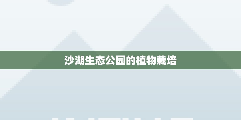 沙湖生态公园的植物栽培 沙湖生态公园的植物栽培