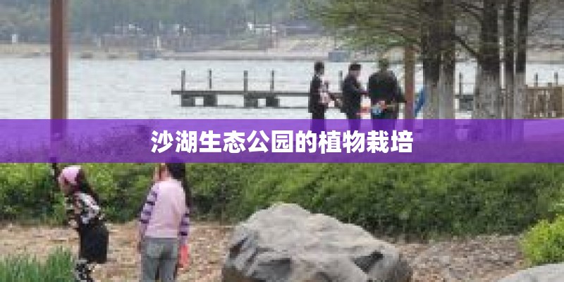 沙湖生态公园的植物栽培 沙湖生态公园的植物栽培