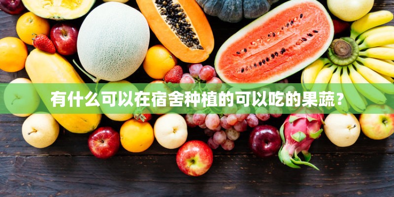 有什么可以在宿舍种植的可以吃的果蔬？