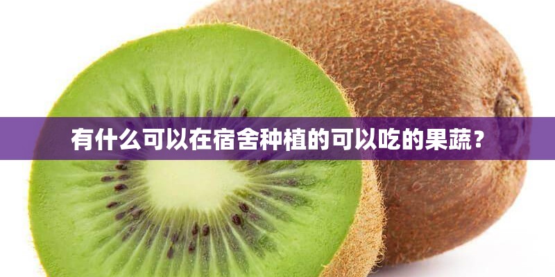 有什么可以在宿舍种植的可以吃的果蔬？