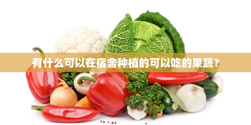 有什么可以在宿舍种植的可以吃的果蔬？