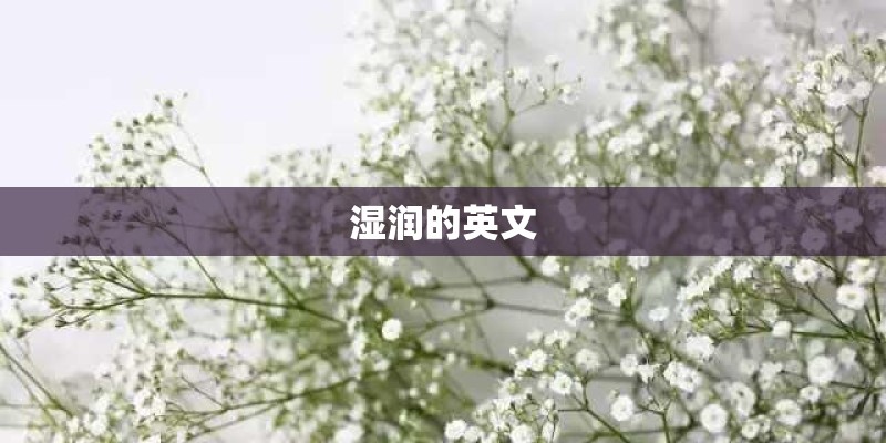 湿润的英文