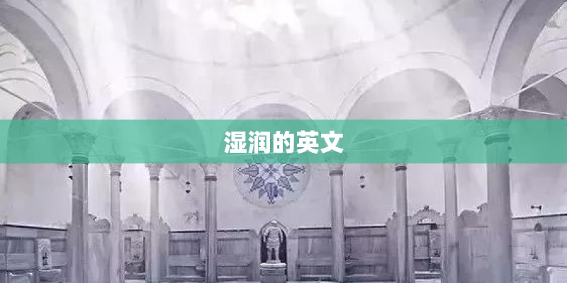 湿润的英文