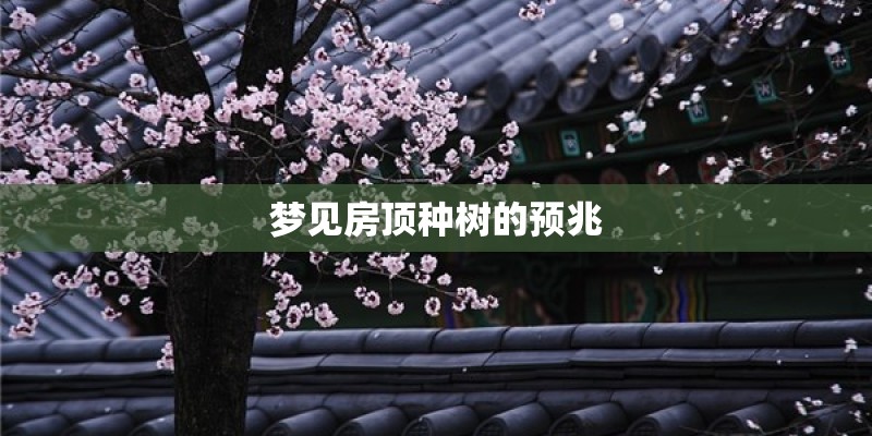 梦见房顶种树的预兆