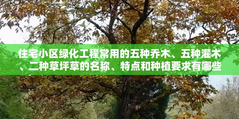 住宅小区绿化工程常用的五种乔木、五种灌木、二种草坪草的名称、特点和种植要求有哪些 住宅小区绿化工程常用的五种乔木、五种灌木、二种草坪草的名称、特点和种植要求有哪些