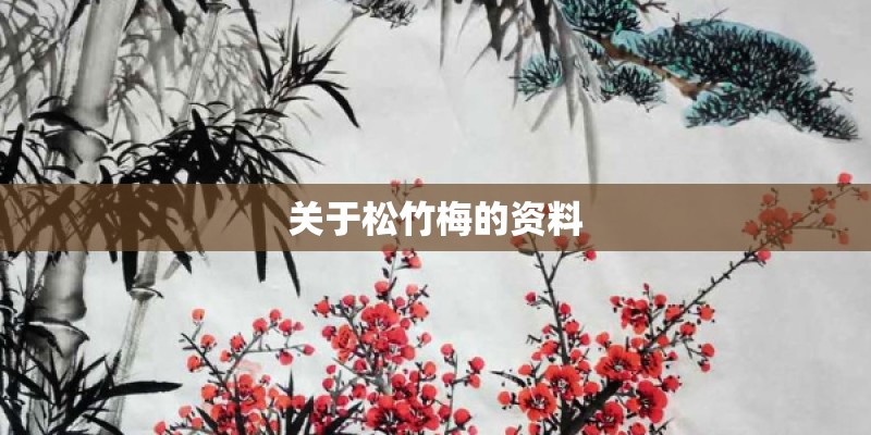关于松竹梅的资料