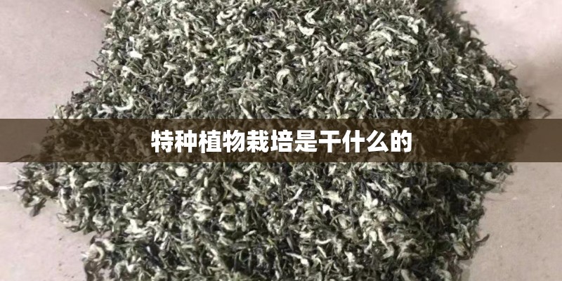 特种植物栽培是干什么的