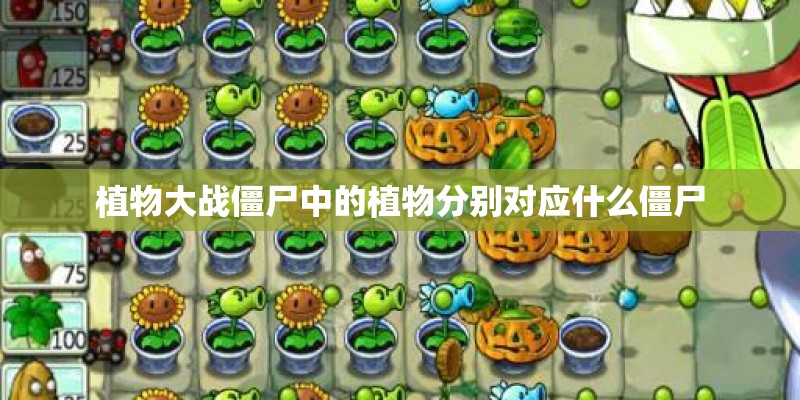 植物大战僵尸中的植物分别对应什么僵尸