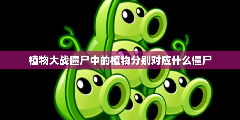 植物大战僵尸中的植物分别对应什么僵尸