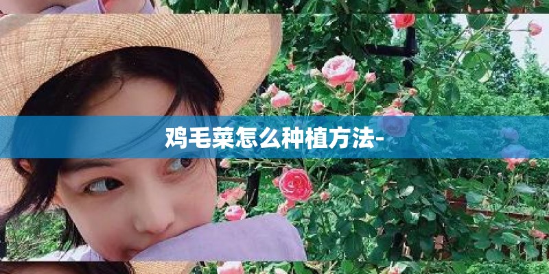 鸡毛菜怎么种植方法- 鸡毛菜怎么种植方法-
