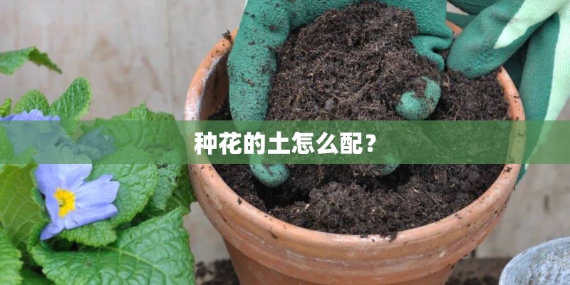 种花的土怎么配？