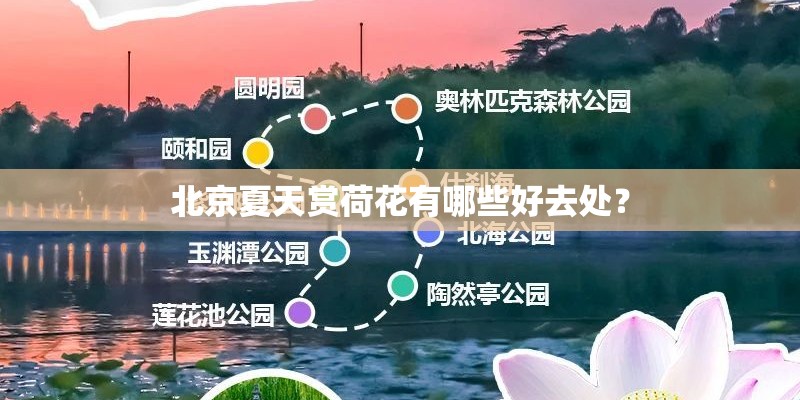 北京夏天赏荷花有哪些好去处？