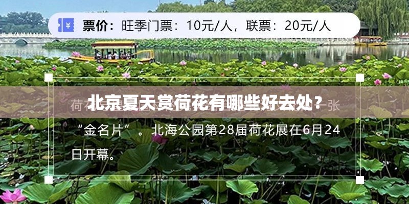 北京夏天赏荷花有哪些好去处？