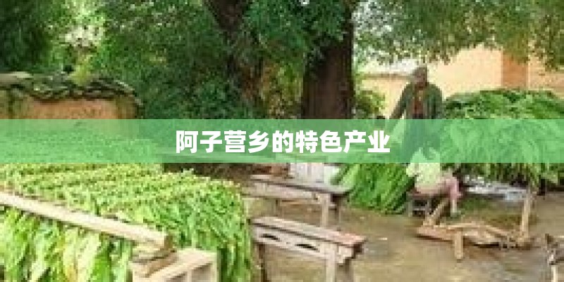 阿子营乡的特色产业