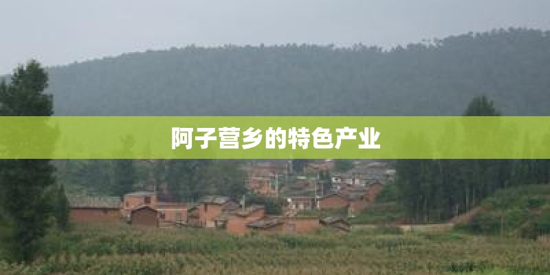 阿子营乡的特色产业