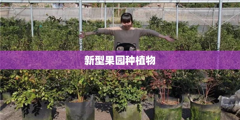新型果园种植物