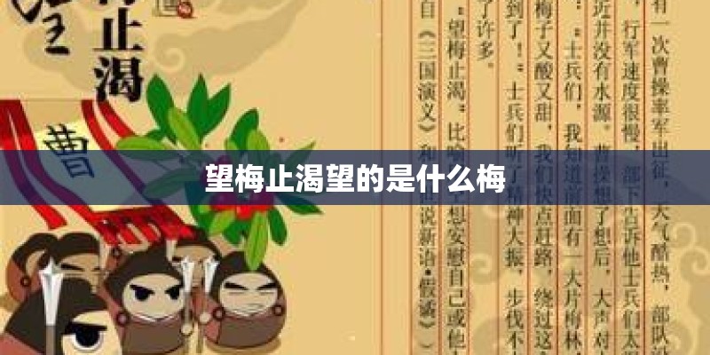 望梅止渴望的是什么梅