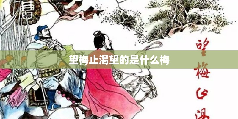 望梅止渴望的是什么梅
