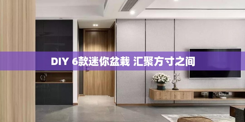 DIY 6款迷你盆栽 汇聚方寸之间