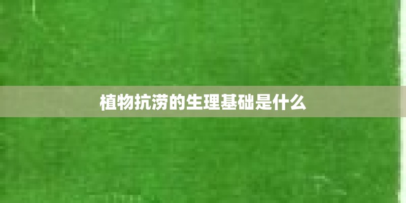 植物抗涝的生理基础是什么