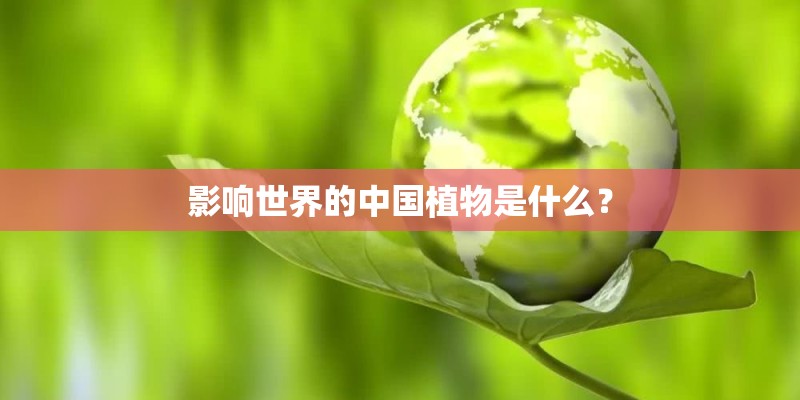 影响世界的中国植物是什么？