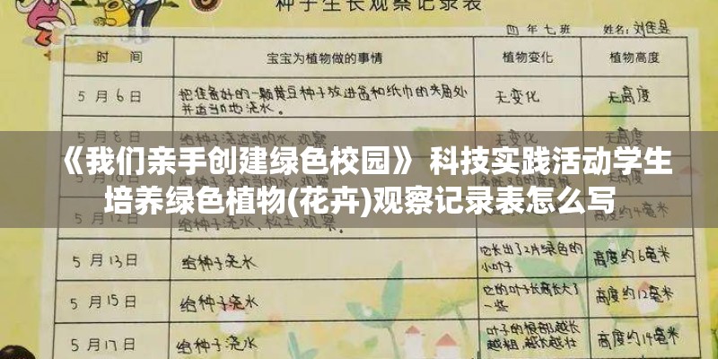 《我们亲手创建绿色校园》 科技实践活动学生培养绿色植物(花卉)观察记录表怎么写