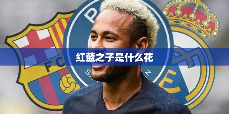 红蓝之子是什么花