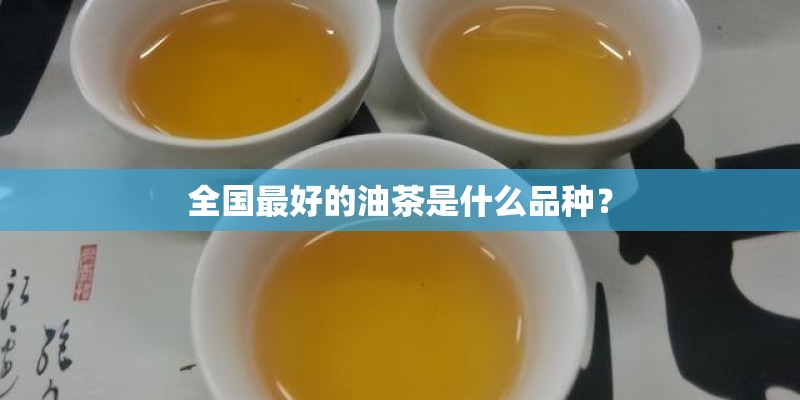 全国最好的油茶是什么品种？