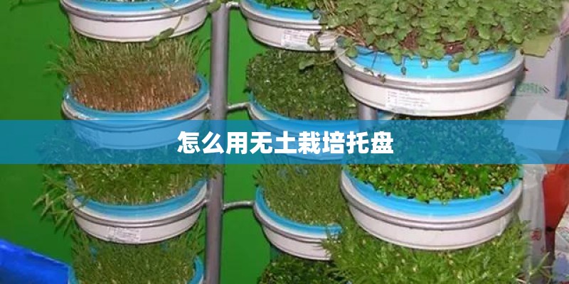 怎么用无土栽培托盘