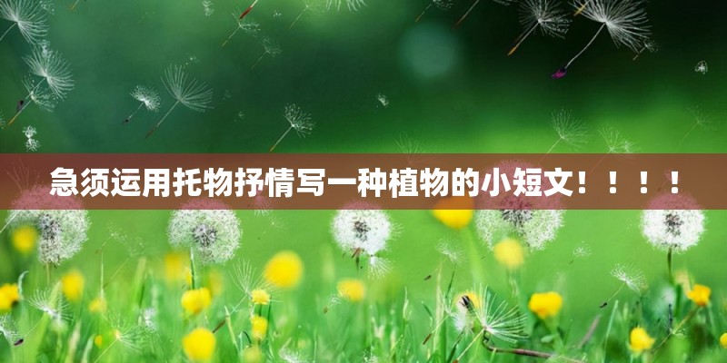 急须运用托物抒情写一种植物的小短文！！！！