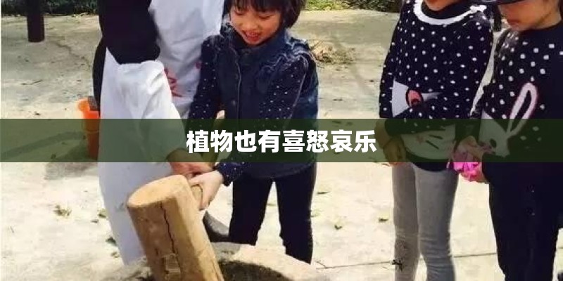植物也有喜怒哀乐