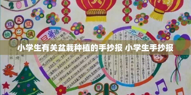 小学生有关盆栽种植的手抄报 小学生手抄报